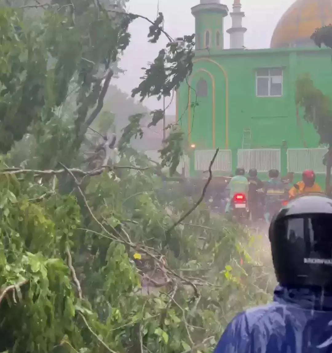 Pohon Tumbang Blokir Jalan Narogong Saat Hujan Deras, BPBD Bogor Gerak Cepat Evakuasi