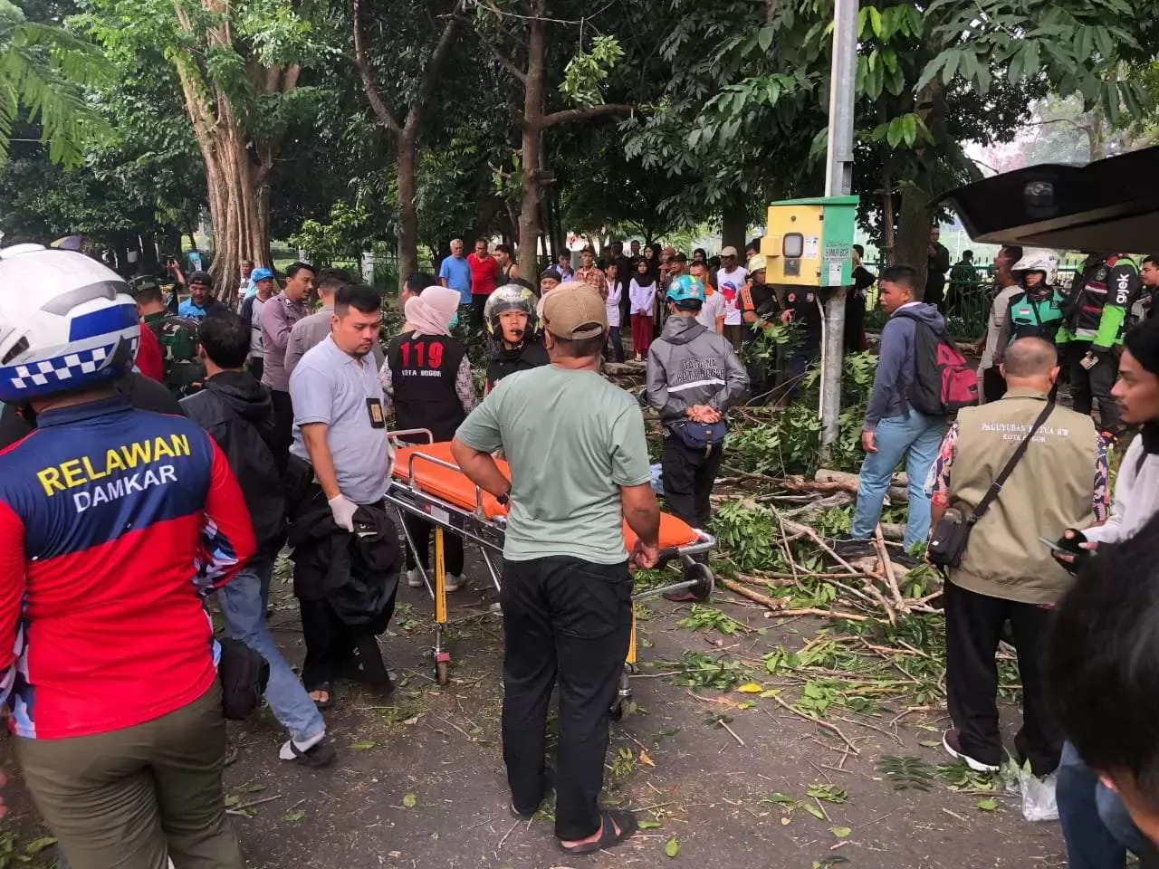 Angin Kencang Timbulkan Kecelakaan di Kota Bogor, 1 Orang dikabarkan Meninggal Dunia