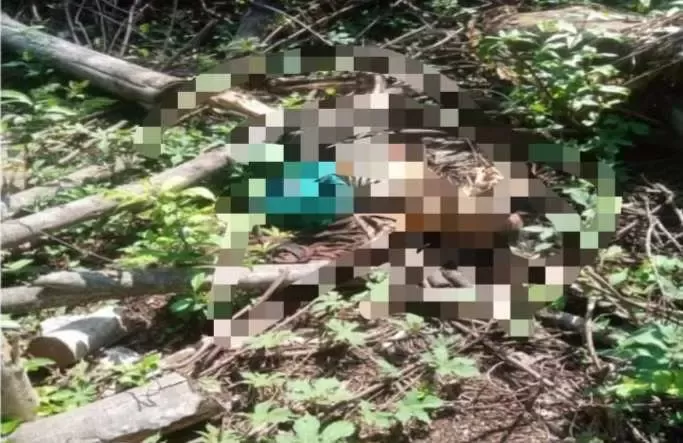 Heboh! Warga Klapanunggal Bogor Temukan Mayat di Gunung Kendal Kuta Bodas