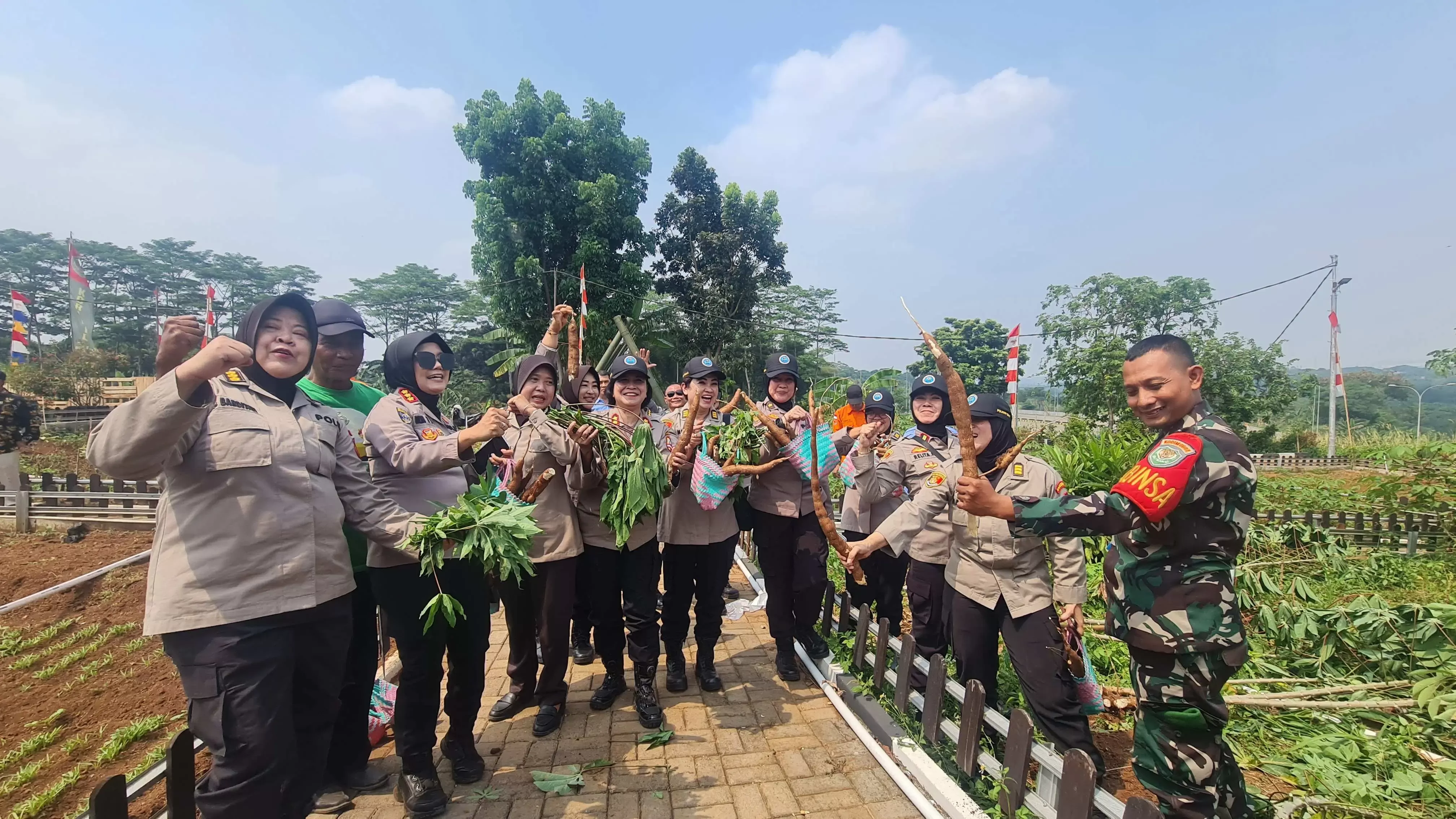 BNN RI Beserta Polwan Lakukan Bakti Sosial Hingga Panen Singkong di Desa Gunungputri 