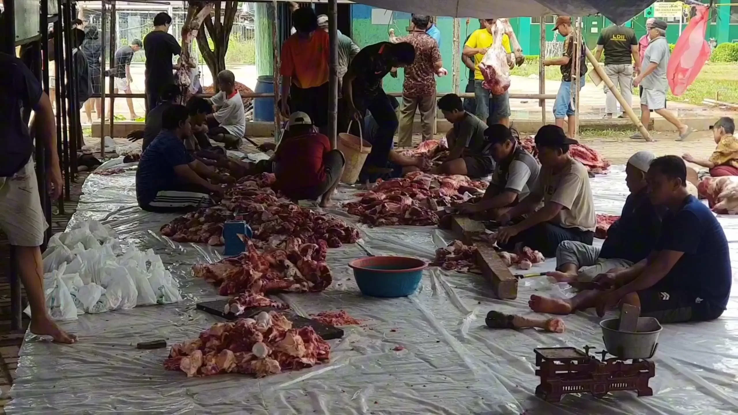 Panitia Qurban 1445H, LDII PAC Desa Gunungputri Sembelih 16 Sapi dan 50 Kambing dan Domba