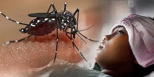 Penyakit Demam Berdarah Dengue di Kabupaten Bogor Meningkat, ini Faktanya!