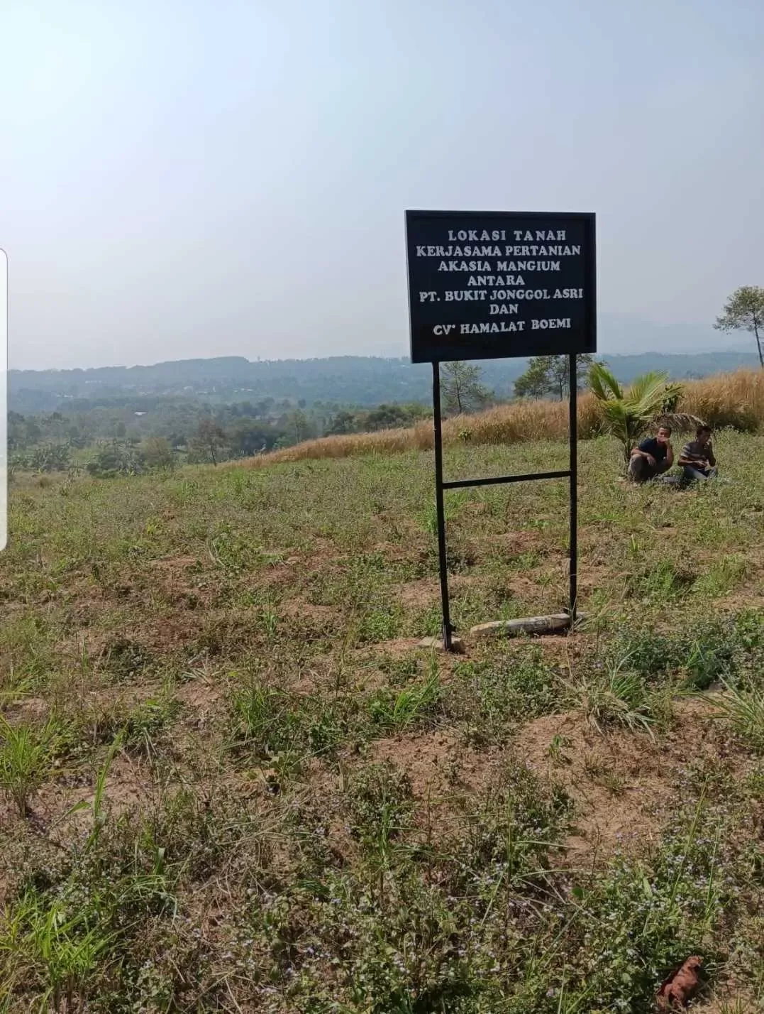 Galian C Ilegal di Kawasan Sukamakmur di surati ESDM dan ditindak lanjuti Sekda