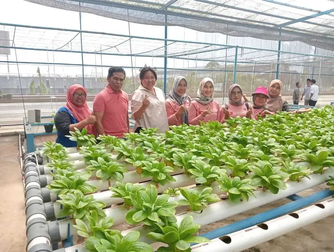 Program Pt Kahaptex Sosialisasikan Tanam Bareng Warga