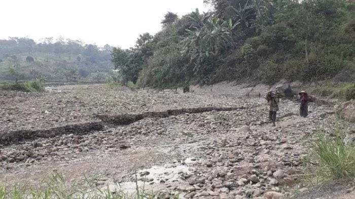 Musim Kemarau Telah Tiba Para Petani di Wilayah Sukamakmur Terancam Rugi.