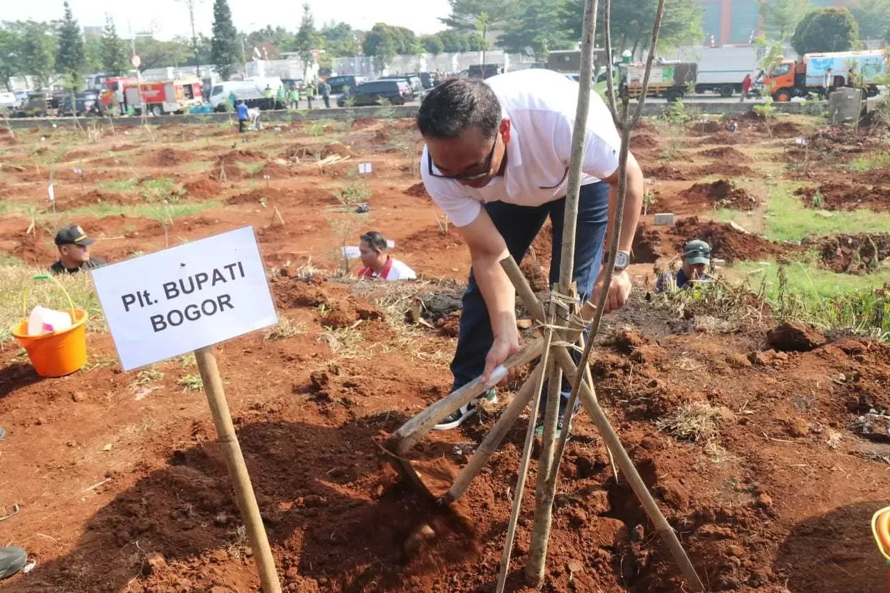 Tertibkan Kawasan Stadion Pakansari Agar Lebih Hijau, Iwan Setiawan Bersama Forkopimda tanam Ratusan Pohon.
