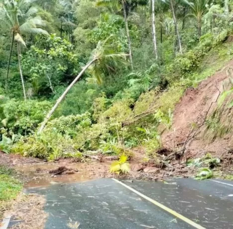 Dampak Cuaca Ekstrem Di Sangihe: Abrasi Pantai, Longsor Hingga Pohon ...