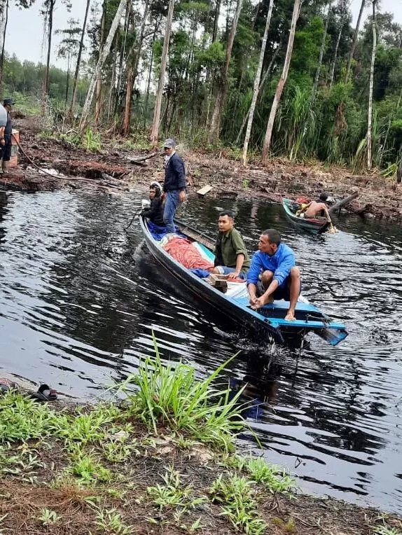 Evakuasi terhadap jenazah korban serangan harimau di Kabupaten Muarojambi