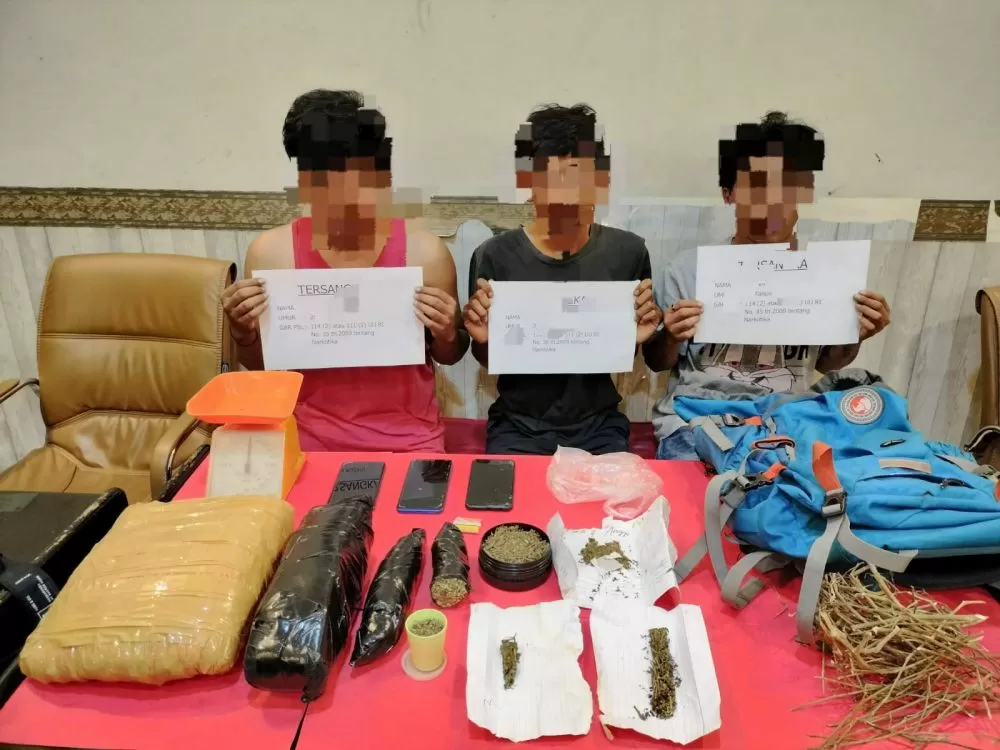 Tiga pengedar Narkotika jenis ganja ditangkap dengan berat 1,9 kilogram/ Metrojambi.com/ Ist