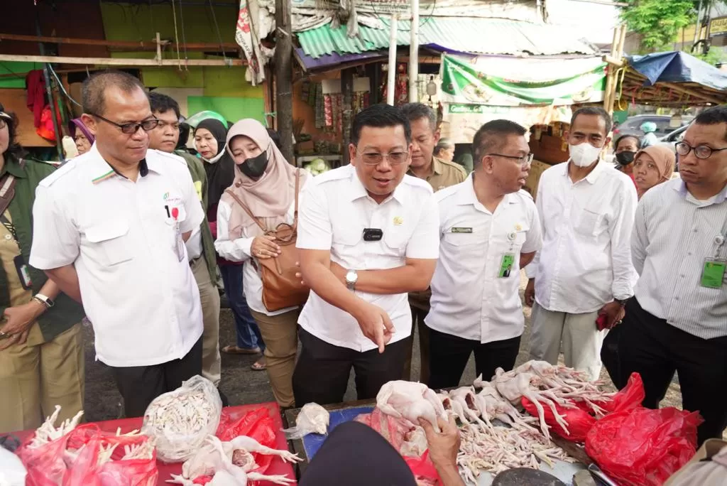 Harga Ayam Di Jakarta Mahal, Pemerintah Bakal Gelar Operasi Pasar Ayam ...