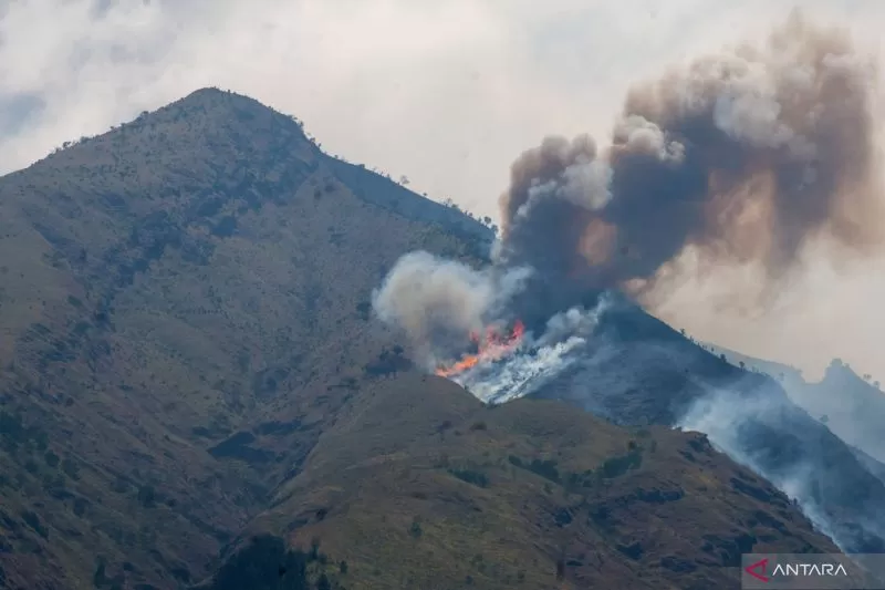 Gunung Merbabu Kebakaran, Pemadaman Harus Dilakukan Dengan Water ...