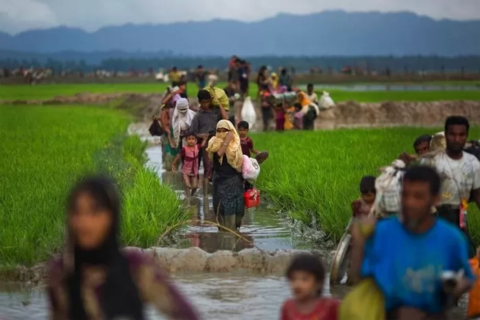 Mengenal Etnis Rohingya, Asal Usul Etnis Asal Myanmar Yang Terpaksa ...