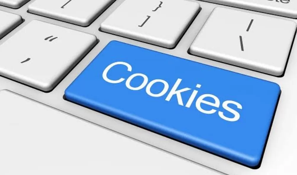 Ilustrasi cookies di browser  (JavaTPoint)