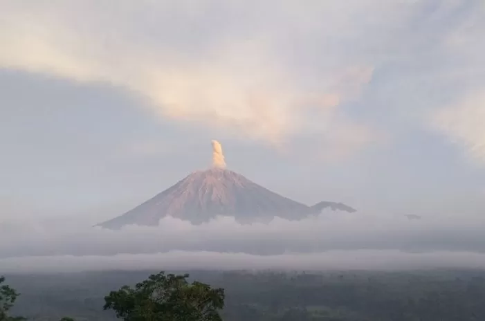 Gunung Semeru Alami Erupsi Dengan Tinggi Letusan Hingga 800 Meter ...