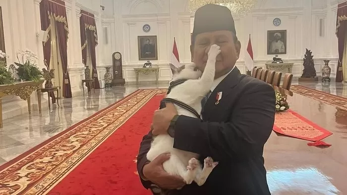 Bobby Kertanegara, Kucing Prabowo, Tunjukkan Keberaniannya: Gigit Pipi dan Pencet Hidung Sang Presiden