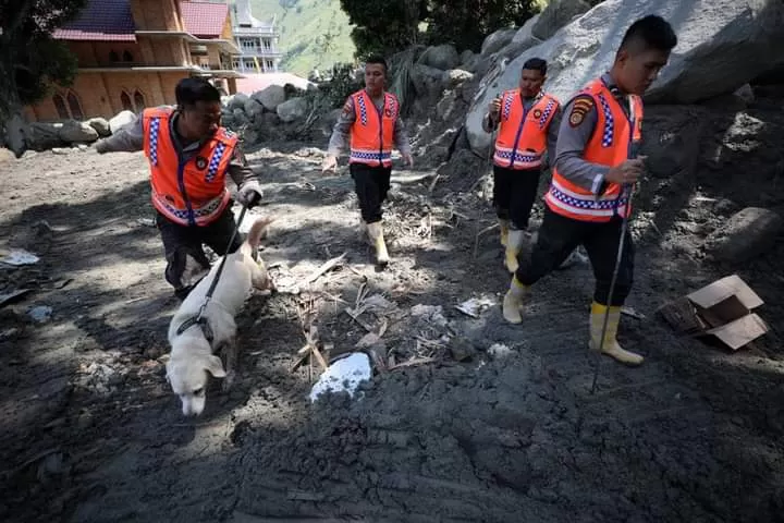 Foto: Pencarian korban tanah longsor di Kabupaten Humbahas terus dilanjutkan (BNPB )