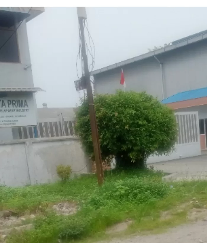 Foto: PT Cipta Prima Medan (Istimewa )