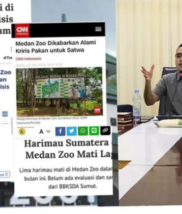 Foto: anggota DPRD Medan Afif Abdillah  (Instagram )