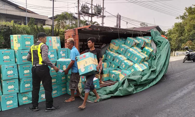 Sopir Diduga Ngantuk, Truk Muat Buah Pir Terguling Di Petungasri ...