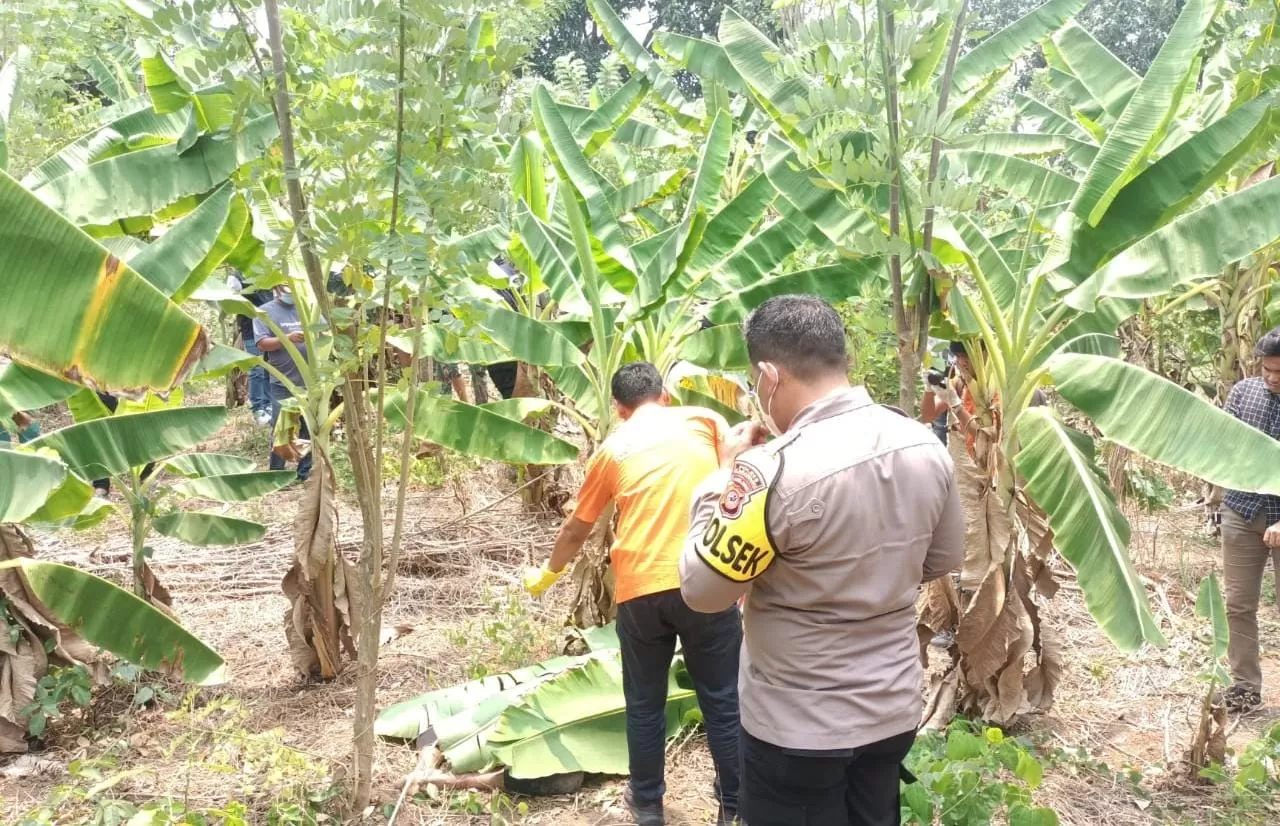 Mayat Di Perkebunan Ternyata Pegawai Rsud Karawang Begini Penjelasan Polisi Pojok Satu 7822