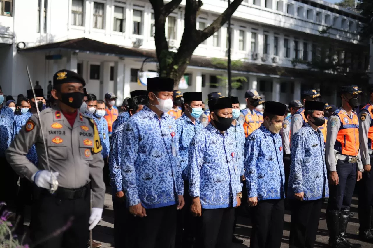 TOK! Dibuka 12.462 Formasi CPNS Kemendikbud 2024, Ini Daftar Posisi