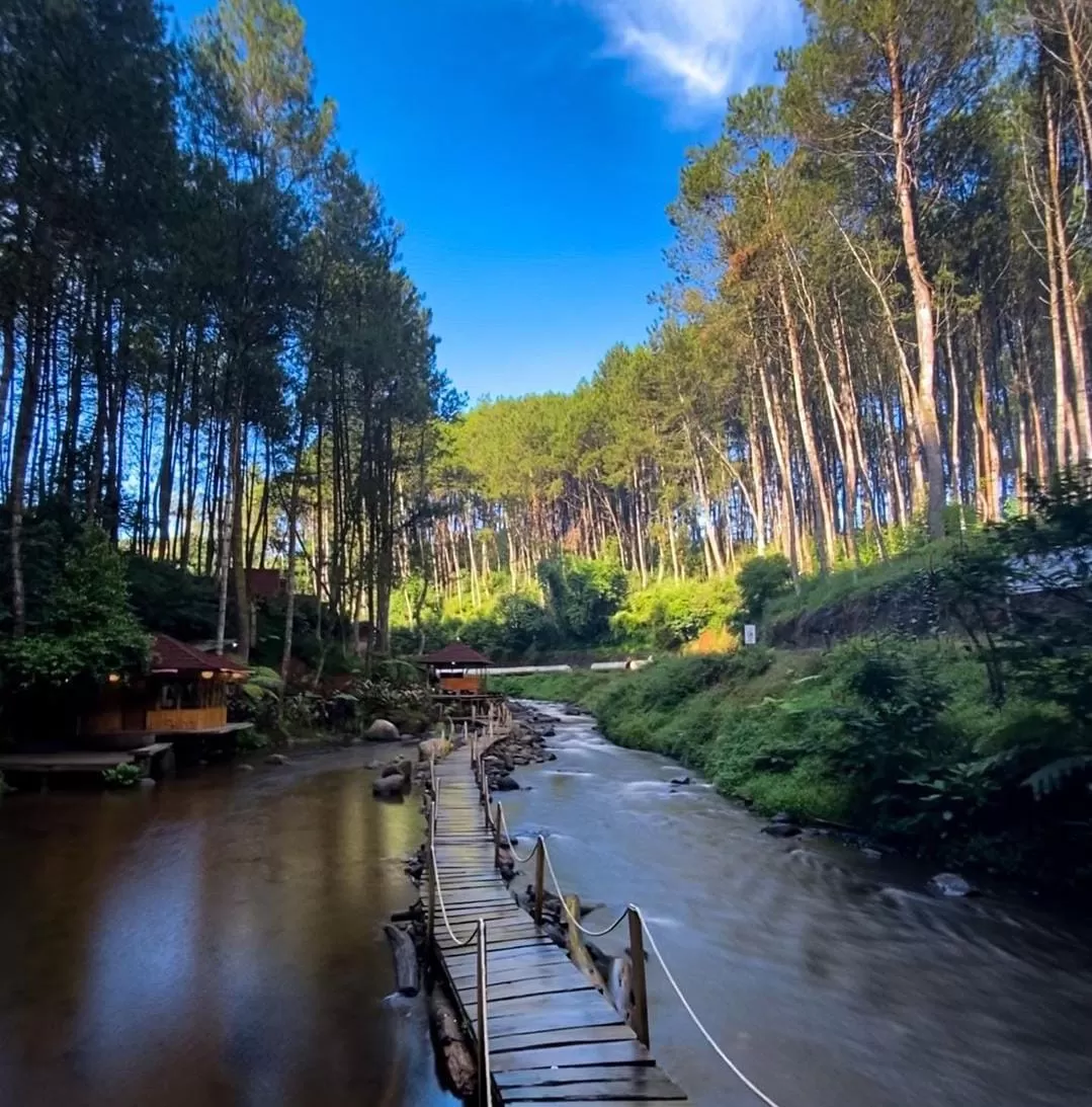 Kampung Singkur, objek wisata di Bandung tawarkan pemandangan menakjubkan sungai yang membelah hutan. (Instagram/@alamsingkur)
