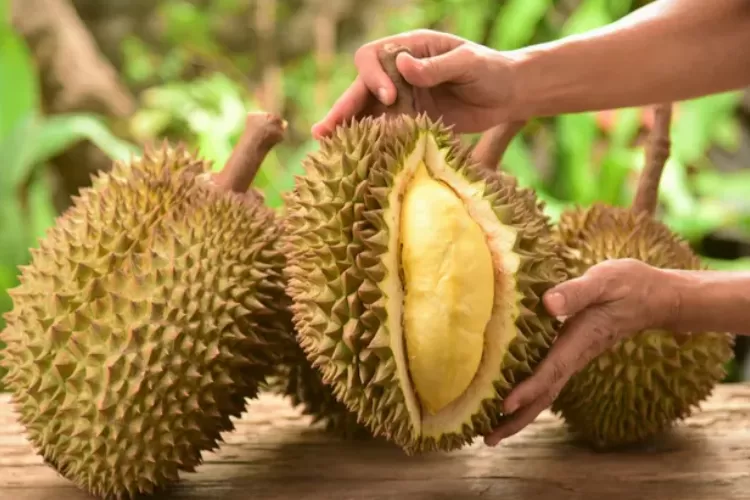 Jangan Salah Pilih! Ketahui Berapa Lama Durian Matang agar Tidak Kecewa
