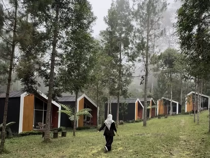 Spekta Merbabu