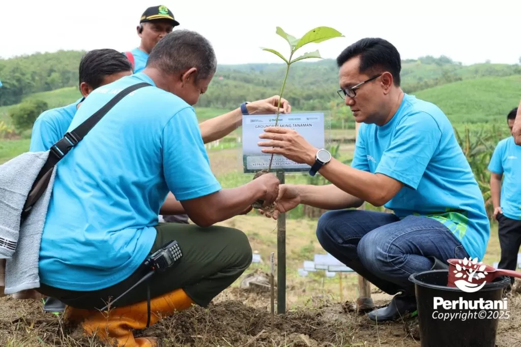 Perhutani menanam 8,36 juta bibit di lahan 6.593 hektar sepanjang 2025 sebagai komitmen pelestarian hutan di Jawa dan Madura. (perhutani.co.id)