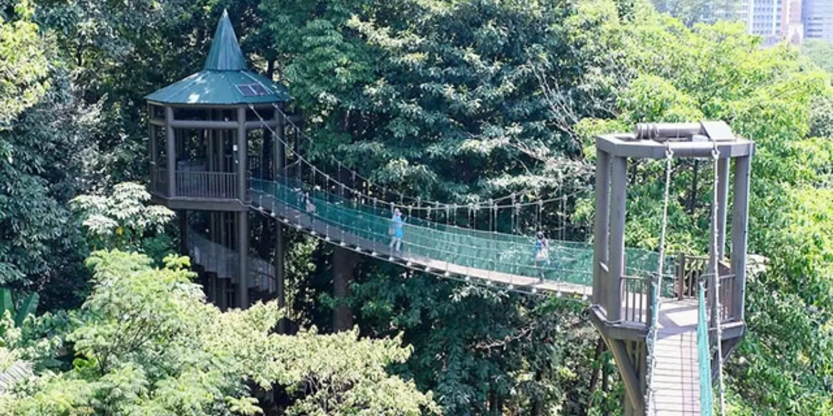 Di Di KL Forest Eco Park, Kuala Lumpur, yang berdiri tahun 1906 juga terdapat jembatan gantung estetik yang panjangnya 200 meter.   (visitselangor.com)