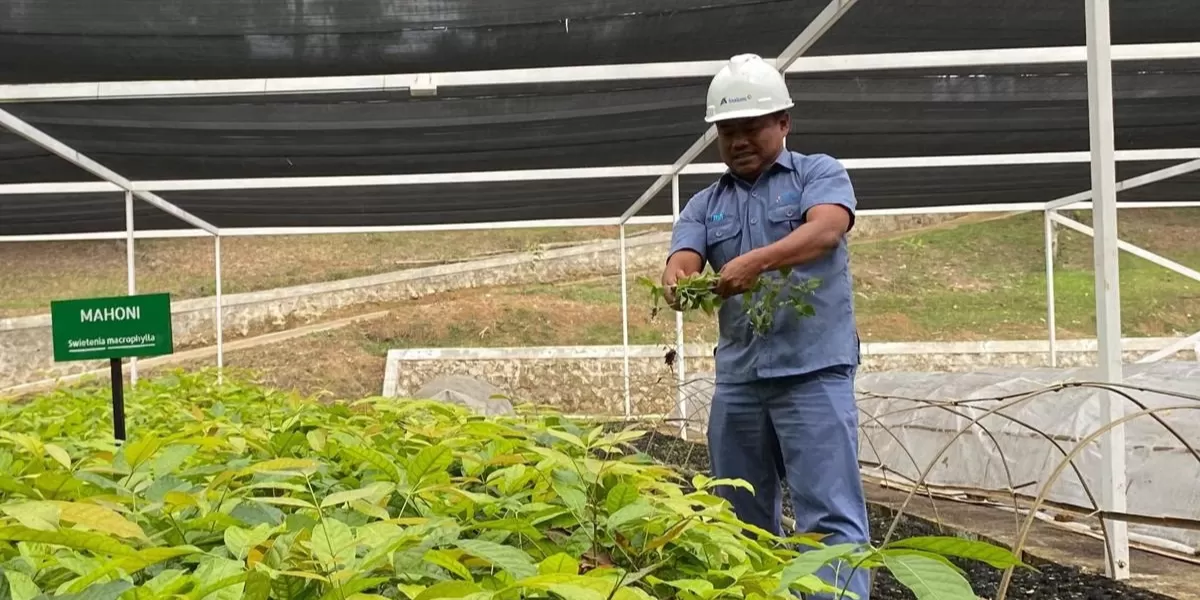 INALUM memperkuat konservasi Danau Toba melalui biopori, sumur resapan, edukasi lingkungan, penghijauan, dan kolaborasi di tujuh kabupaten Sumut. (Dok. INALUM)