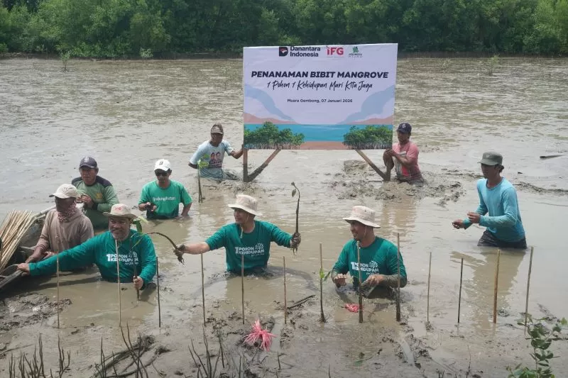 IFG menanam 5.000 bibit mangrove di Muara Beting Bekasi sebagai upaya pemulihan lingkungan pesisir, perlindungan ekosistem, dan pengembangan ekowisata berkelanjutan (Dok. IFG)