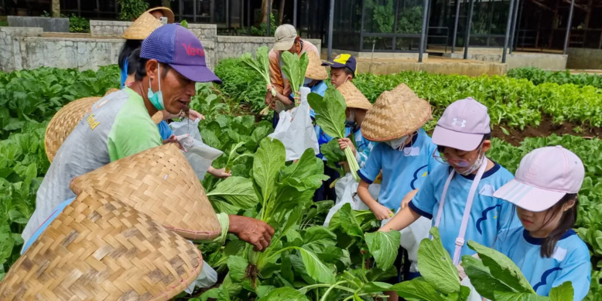 Kuntum Farmfield Bogor (kuntum.co.id)