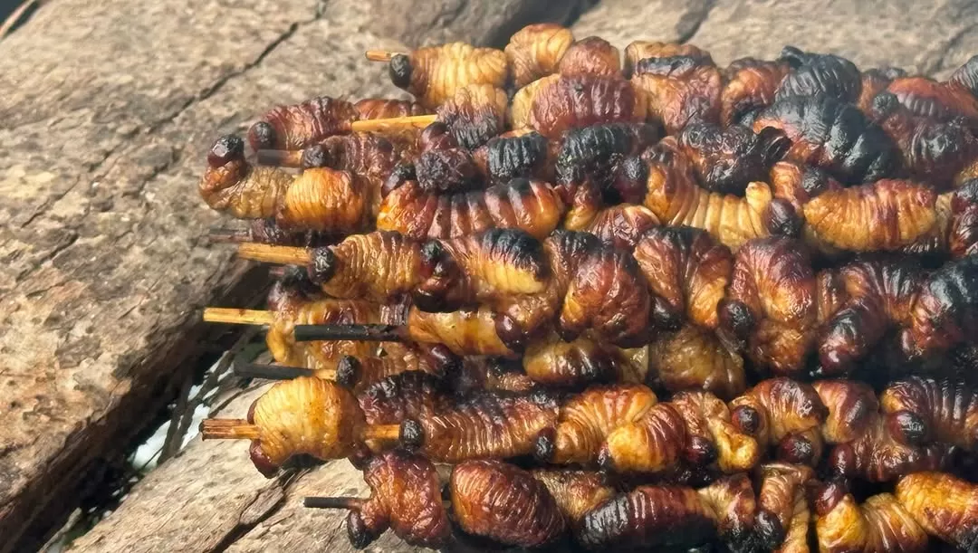 Sate ulat sagu khas Manokwari bisa dimakan begitu saja atau dicampur dengan bumbu kacang seperti sate pada umumnya. (Instagram/@kampungwisatayoboi)