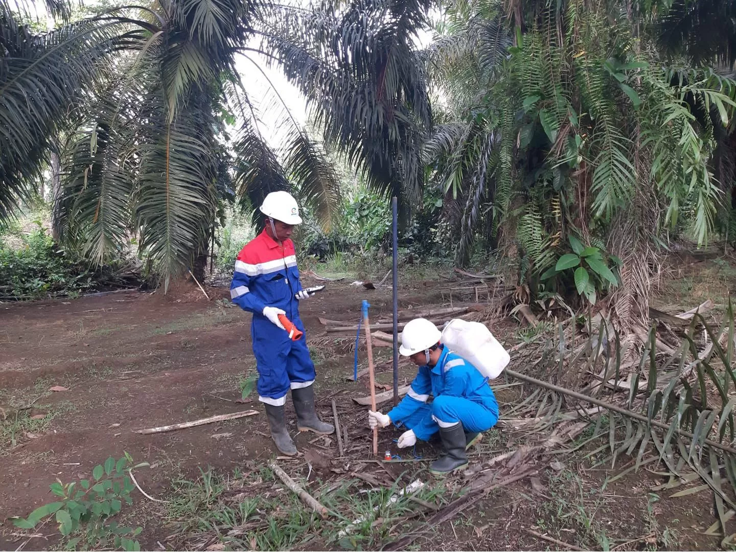 Elnusa mempercepat jasa eksplorasi migas sejak awal 2026 dengan penguatan teknologi seismik darat untuk mendukung ketahanan energi nasional. (Dok. Elnusa)