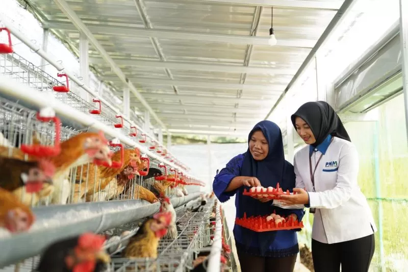 PNM terus mendorong kemandirian pangan keluarga melalui program Rumah Pangan, Pekarangan Bergizi, dan Lorong Mekaar.