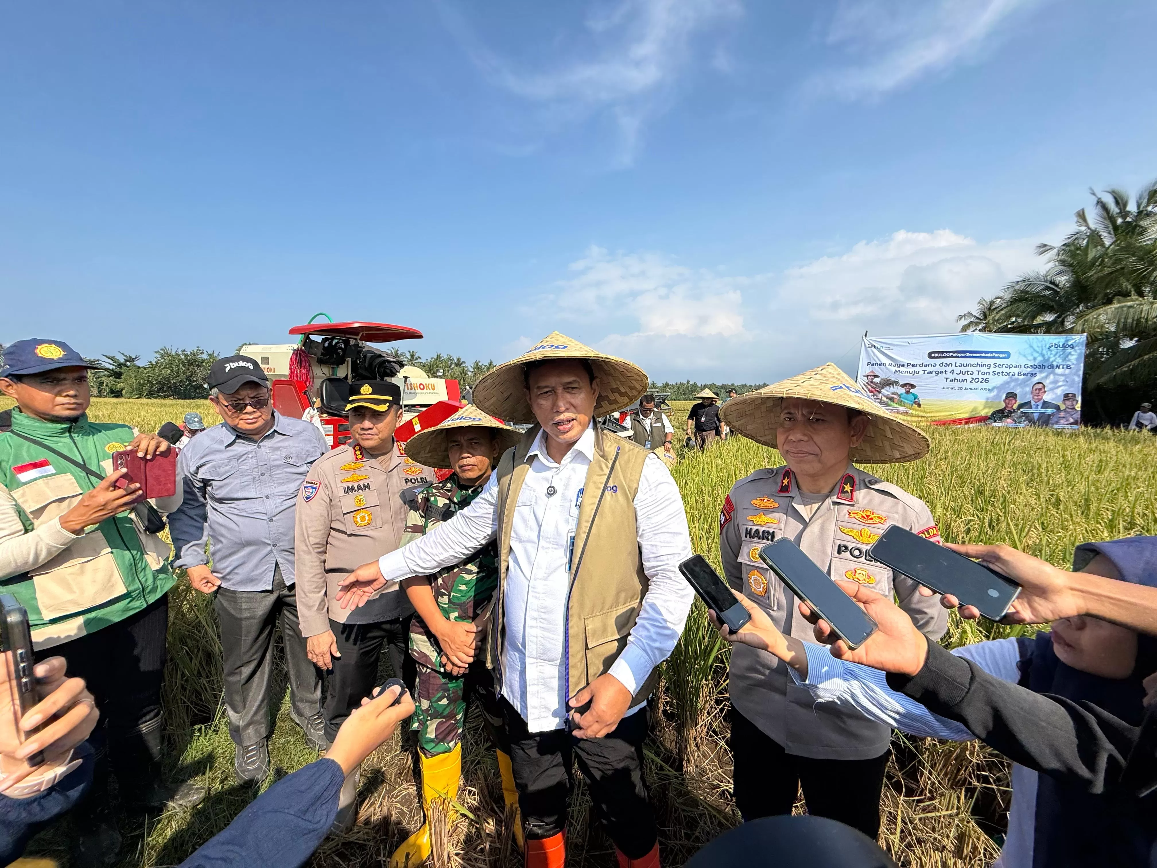 BULOG mengawali serapan gabah 2026 dari NTB lewat panen raya perdana untuk memperkuat ketahanan pangan dan kesejahteraan petani. (Dok. BULOG)
