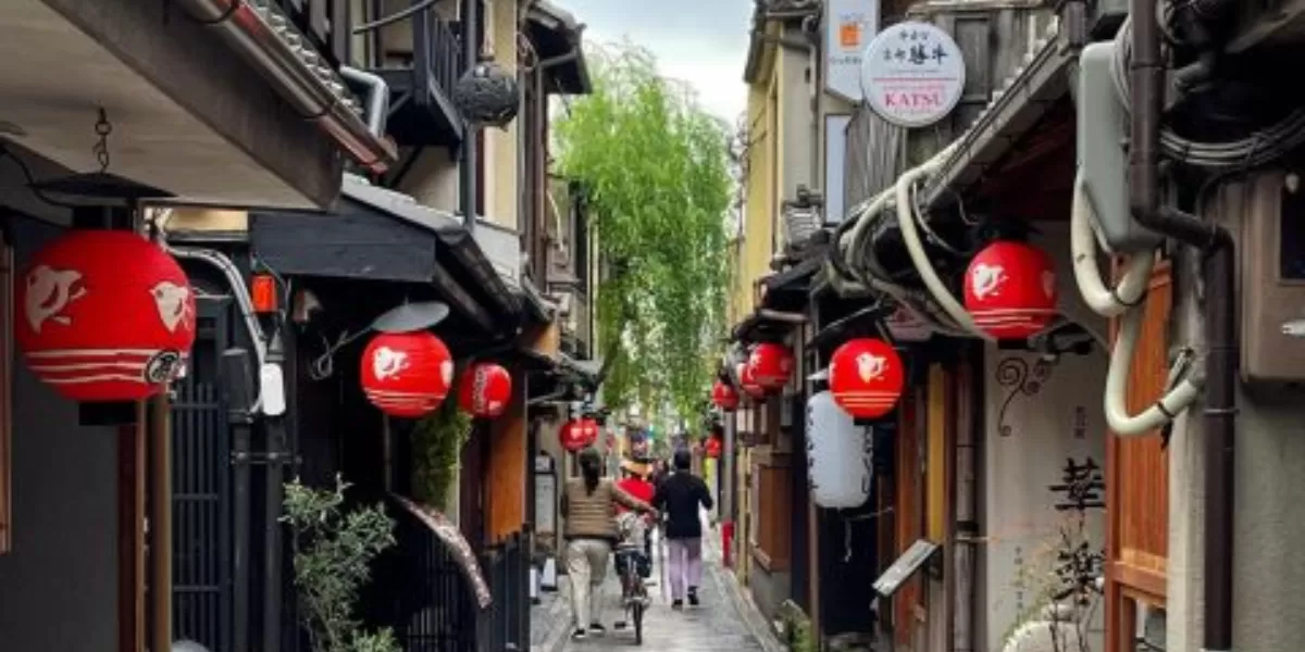 Bangunan di Pontocho, Kyoto, banyak yang terbuat dari kayu dengan lampion merah yang aestetik.  (travelersuniverse.com)