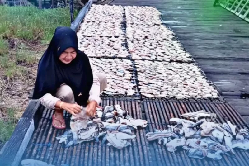 PNM mendampingi perempuan pesisir Kalimantan Timur mengembangkan usaha olahan laut, memperkuat ekonomi keluarga, dan mendorong pertumbuhan ekonomi lokal berkelanjutan (Dok. PNM)