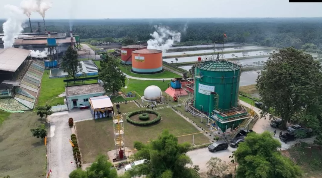 ROA PalmCo mencapai 7,9 persen pada 2025, melampaui target dan menunjukkan penguatan pengelolaan aset serta efisiensi modal BUMN perkebunan. (Dok. PTPN)