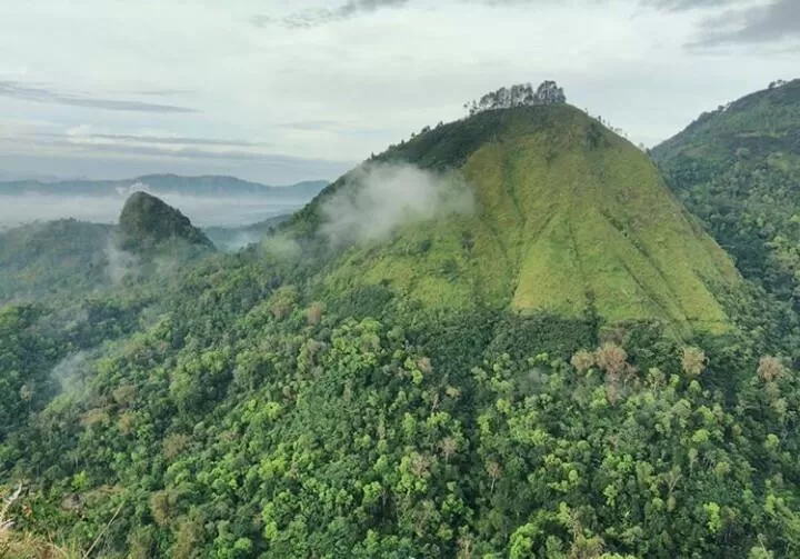 Gunung Giyanti, Magelang, termasuk gunung yang tidak terlalu tinggi, sekitar 1.200 mdpl. (Facebook/Puncak gunung Giyanti)