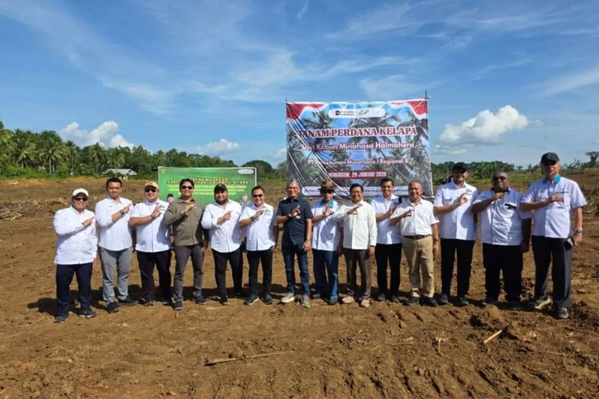 PTPN I memulai tanam kelapa 104 hektare di Sulawesi Utara sebagai bagian target 50 ribu hektare hingga 2029 dan penguatan hilirisasi. (Dok. PTPN I Regional 8)