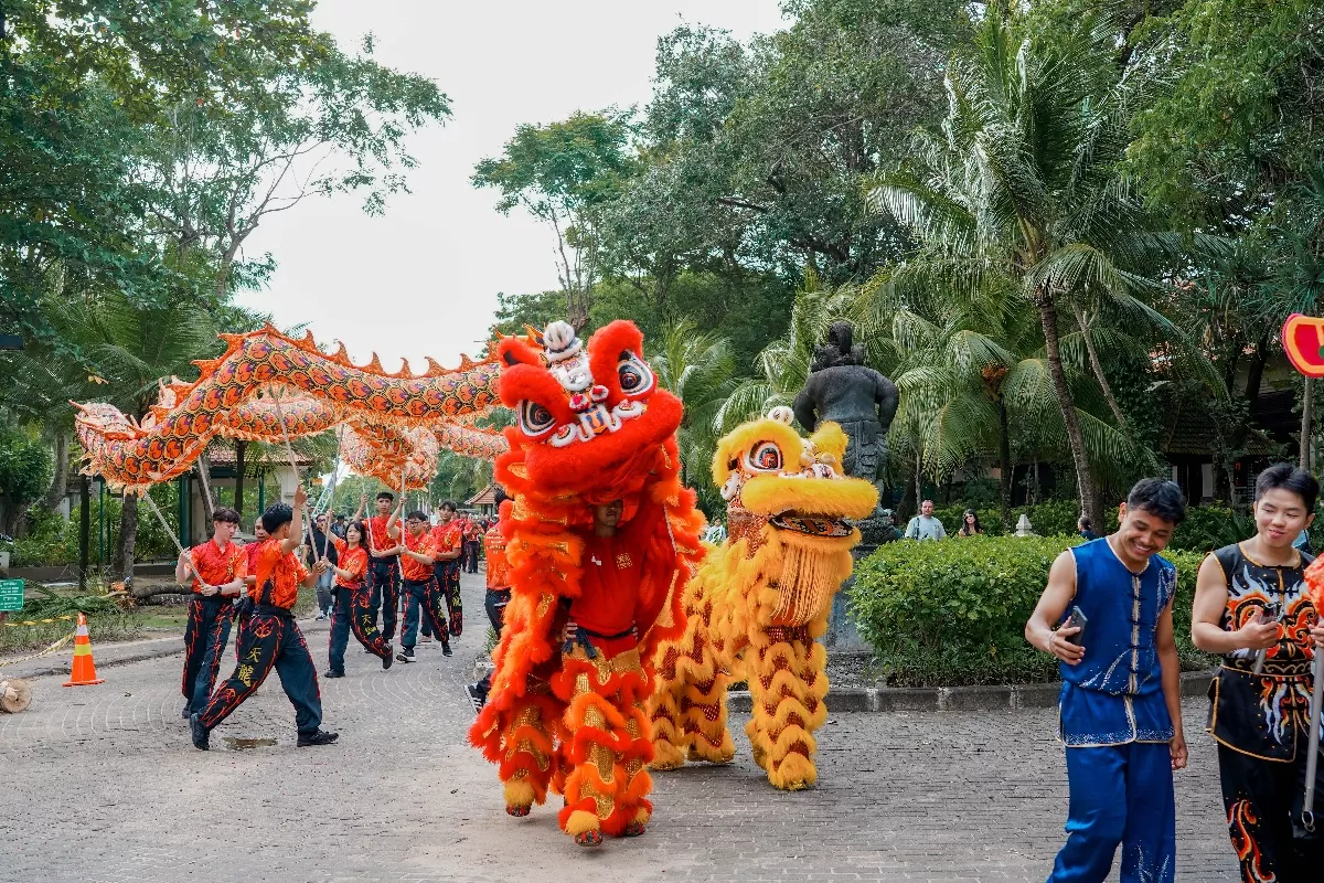 Perpaduan atraksi Kecak dan Barongsai semarakkan perayaan Tahun Baru Imlek dan Hari Valentine di kawasan The Nusa Dua. (Dok. ITDC)