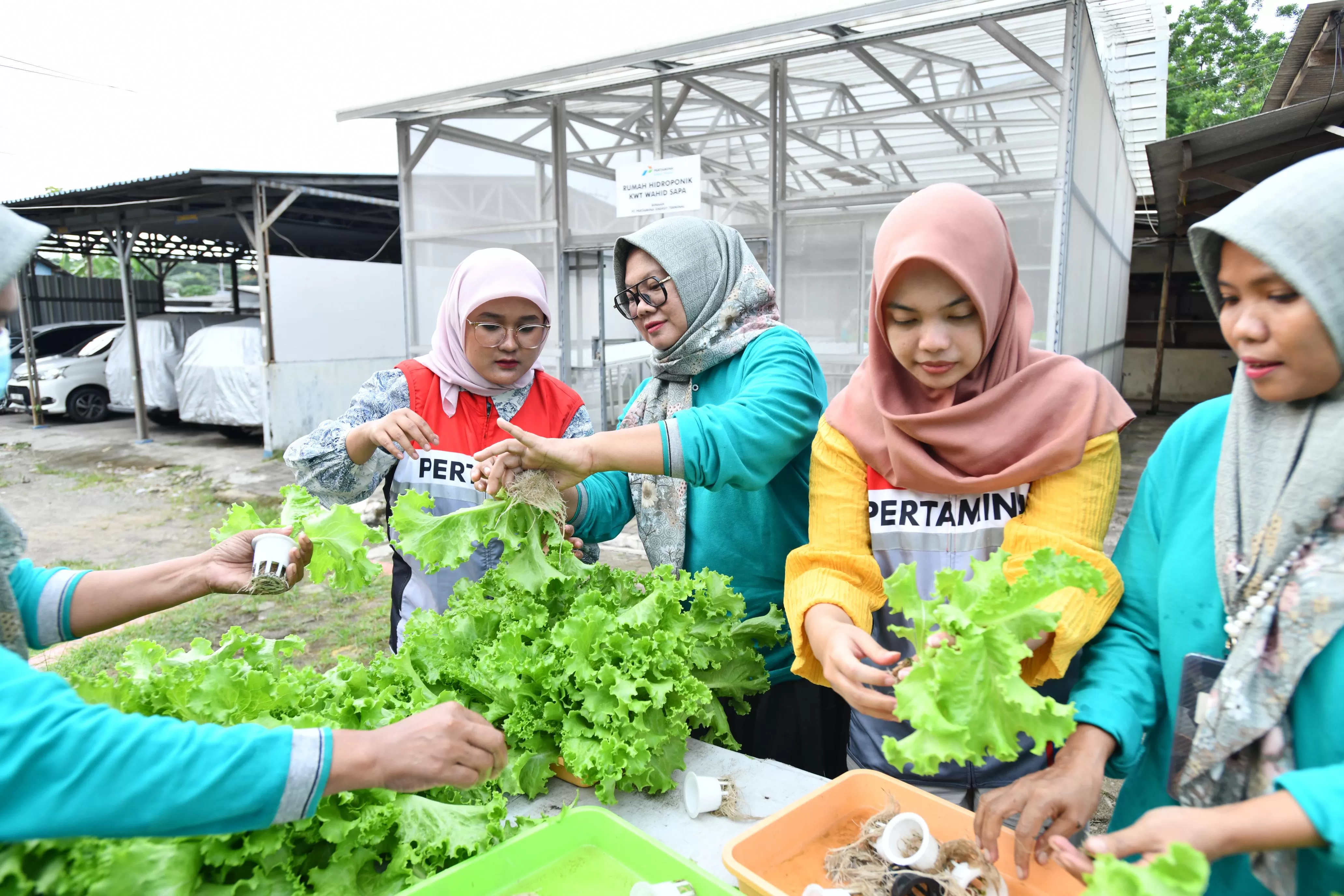 KreaSea Tumbuh Perkuat Green Terminal Tanjung Sekong Lewat Program Hidroponik Berbasis PLTS (Dok. Pertamina)