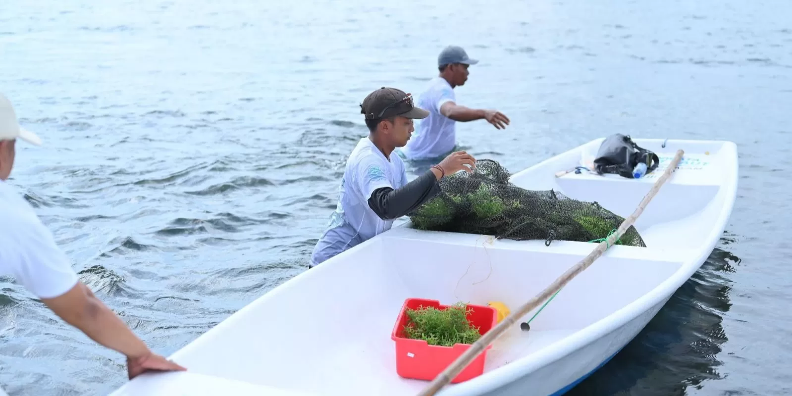 Ilustrasi petani saat memanen rumput laut pada Panen Perdana Bank Bibit Desa Berdaya Rumput Laut, Desa Jungut Batu, Nusa Lembongan, Selasa (20/5).
