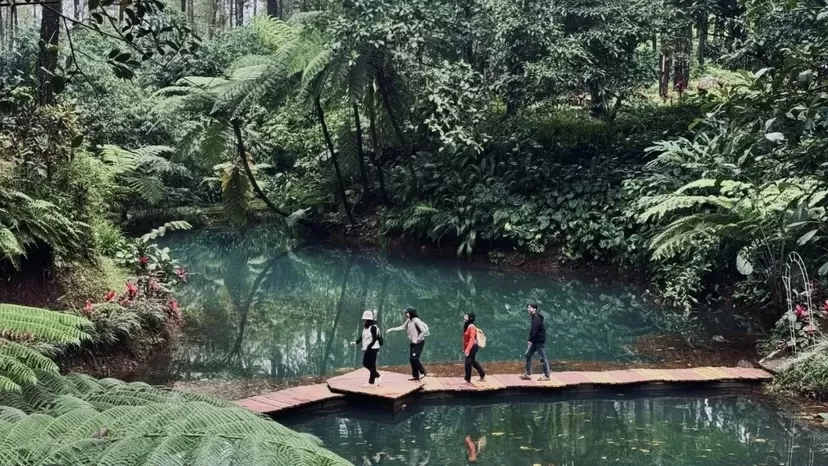 Hutan Pinus Prabanlintang menawarkan udara sejuk, spot foto menarik, dan tiket masuk yang tetap ramah di kantong.