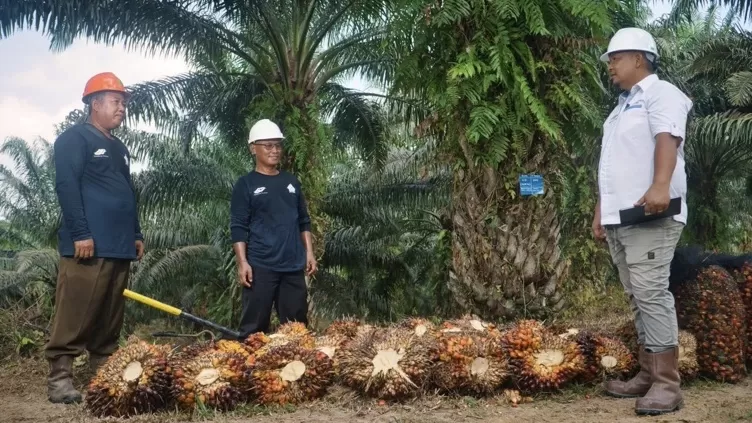 PTPN IV PalmCo menempatkan inklusivitas sebagai bagian dari strategi perusahaan.