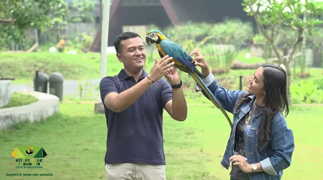 Kecintaan orang akan kemeriahan suara burung mungkin bisa terpenuhi di Aviary Park Indonesia. (Aviary Park Indonesia)