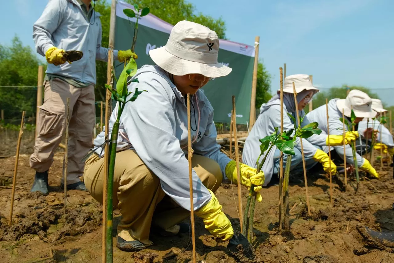 Libatkan kolaborasi karyawan, Telkom menggelar aksi penanaman mangrove di Semarang Mangrove Center (SMC), dorong pemulihan ekosistem pesisir dan mitigasi perubahan iklim. (DOK. Telkom)