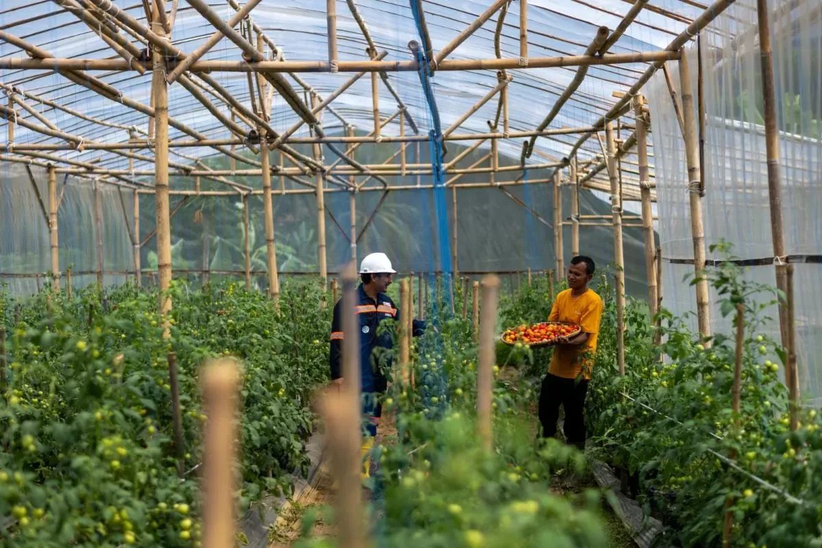 Antam melalui Unit Bisnis Pertambangan Emas (UBPE) Pongkor mengembangkan Program Garitan Kalongliud di Desa Kalongliud, Kecamatan Nanggung, Kabupaten Bogor, Jawa Barat. (DOK. Antam)